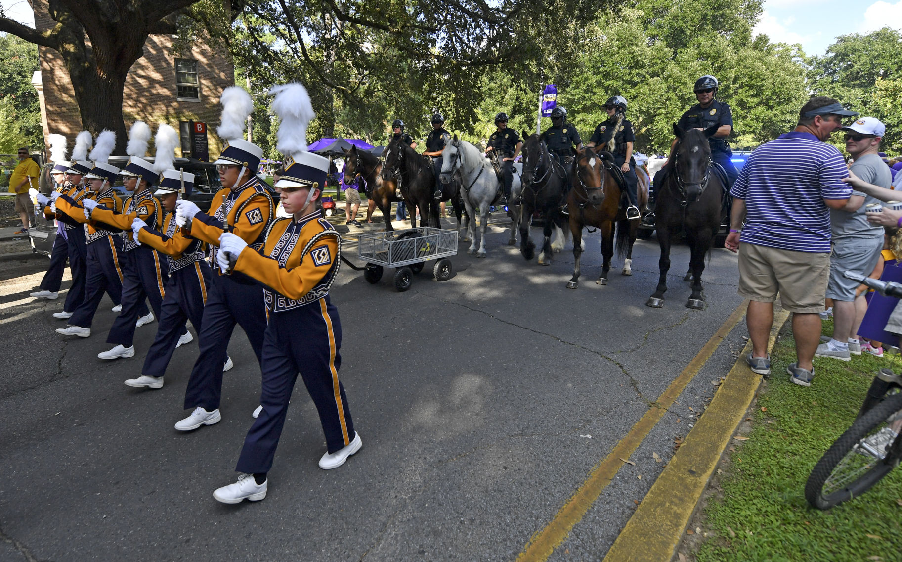 BR.brpdhorses.adv HS 043.JPG